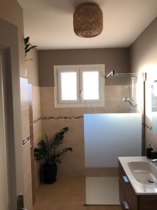 Hair dryer, towels, soap, shampoo