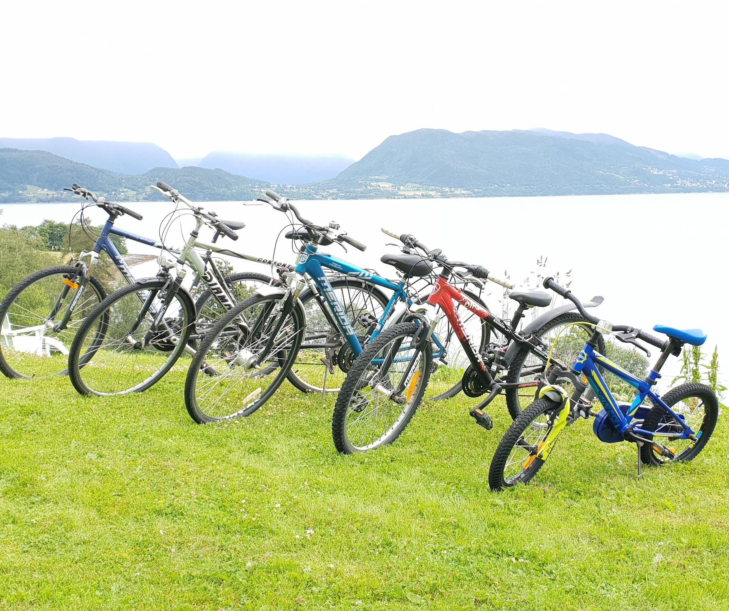 En rad cyklar står uppradade på en gräsyta, med en sjö och berg i bakgrunden.