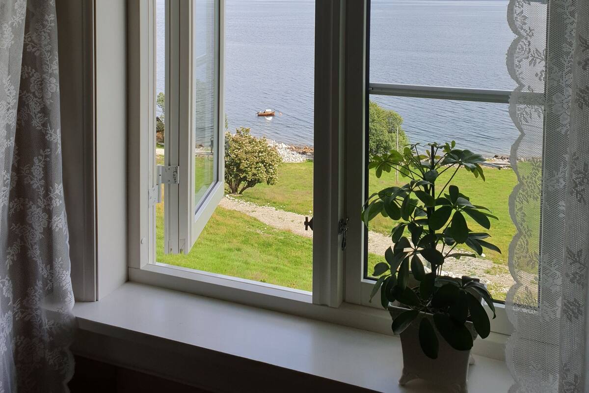 A window with a view of a lake and mountains, a potted plant on the windowsill, and white curtains.