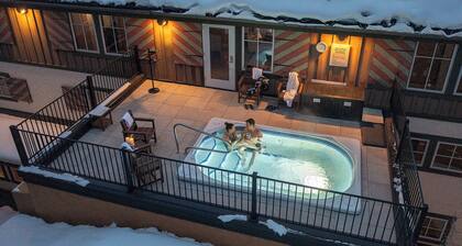 Remodeled, Dog Friendly Vail Lionshead LH Premium