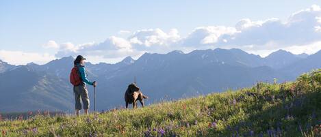 A person hiking with a dog on a grassy hill with mountains in the background.