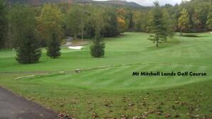 Un campo de golf con un césped bien cuidado, bunkers de arena y diversos árboles al fondo.