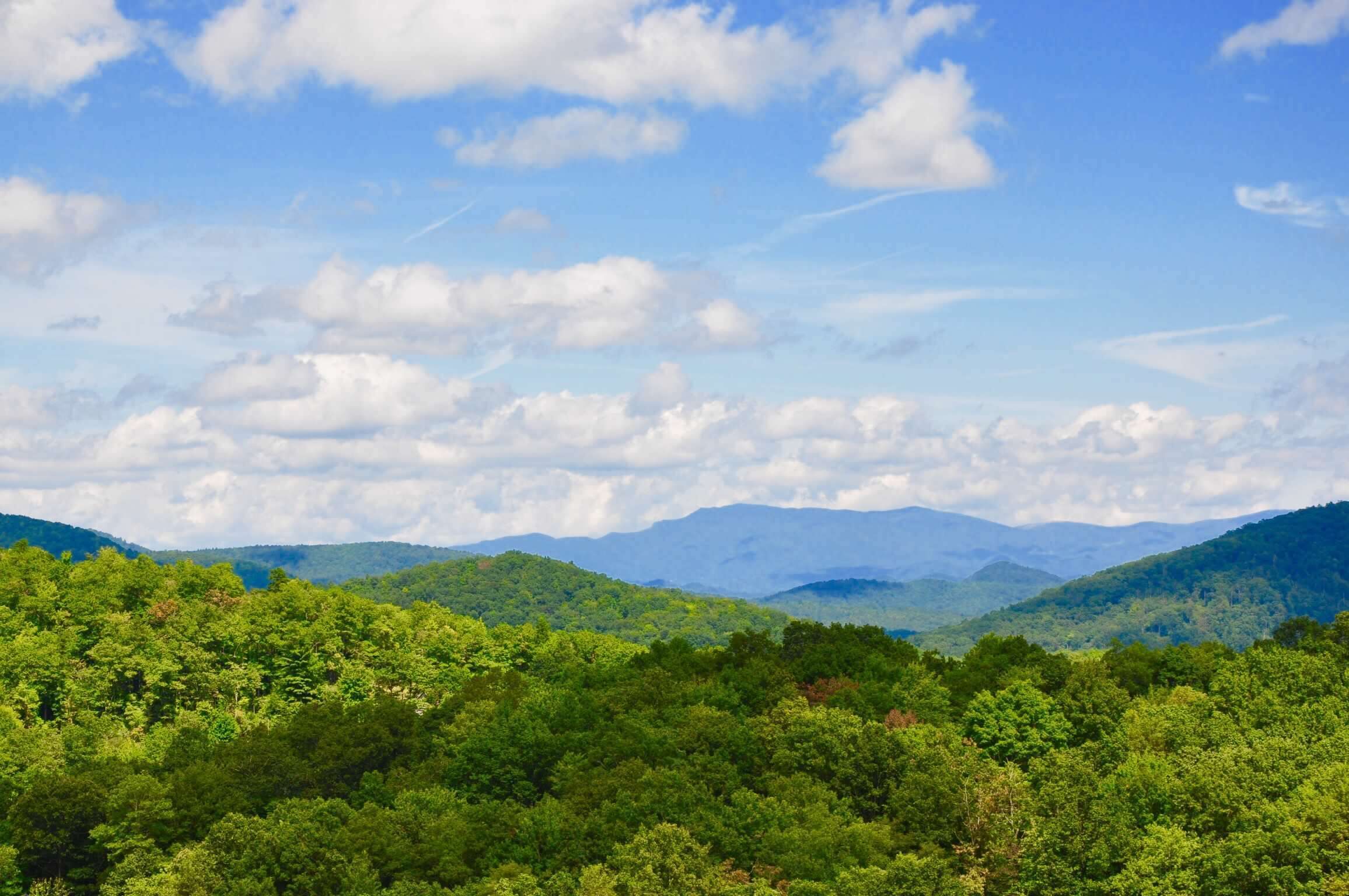 Breathtaking Views in Mt Mitchell Lands- Hikes, waterfalls & new hot tub!