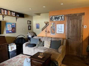 TV, DVD player, books, video library
