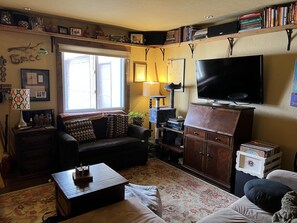 TV, DVD player, books, video library