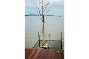 Unclassified image, 4 of 6, button