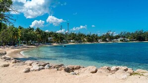 A beach with clear blue water, sandy shore, and palm trees. - Cozy Winter Getaway (Pocono Pines)