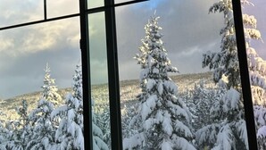 Vista a través de una ventana mostrando árboles cubiertos de nieve y un cielo nublado.
