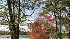 A grassy area with a wooden dock extending into a body of water, surrounded by trees with autumn foliage. - WELCOME!  Are you looking to get away, to disconnect and relax? Look no further. (Montello)