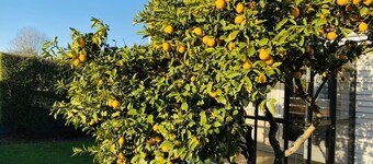 A Taste of Kiwiana close to Event Centres