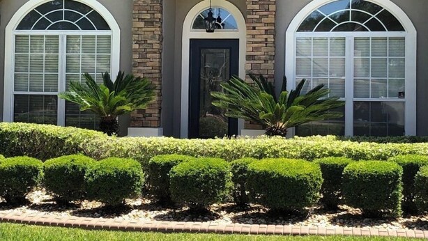 A building with three arched windows, a central door, and a well-maintained hedge in front. - Beautiful home with pool (Orange Park)