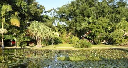 Lillypads Yellow Cottage - Rainforest Getaway
