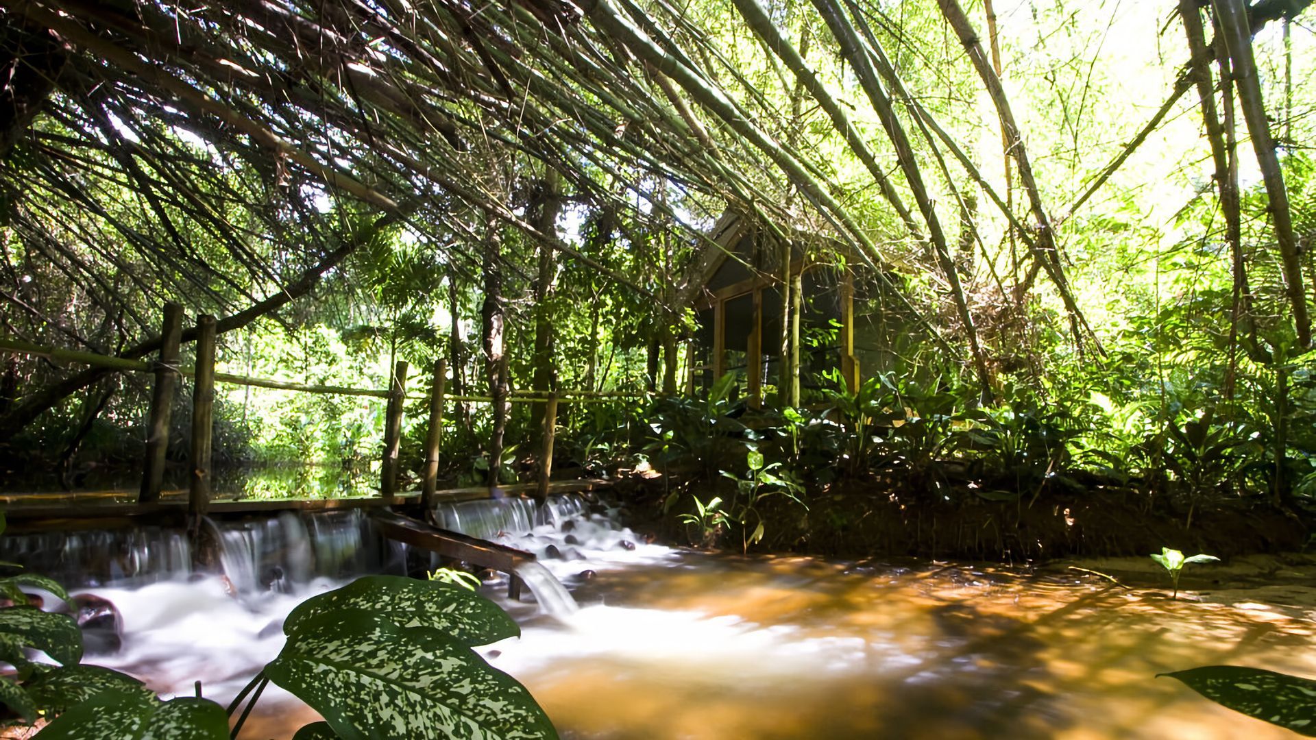 A tranquil indoor waterfall with a wooden structure overhead, surrounded by lush greenery.