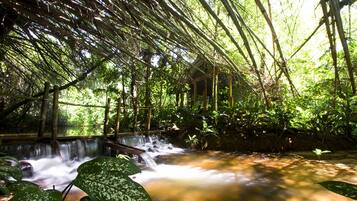 A tranquil indoor waterfall with a wooden structure overhead, surrounded by lush greenery.