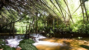 A tranquil indoor waterfall with a wooden structure overhead, surrounded by lush greenery.