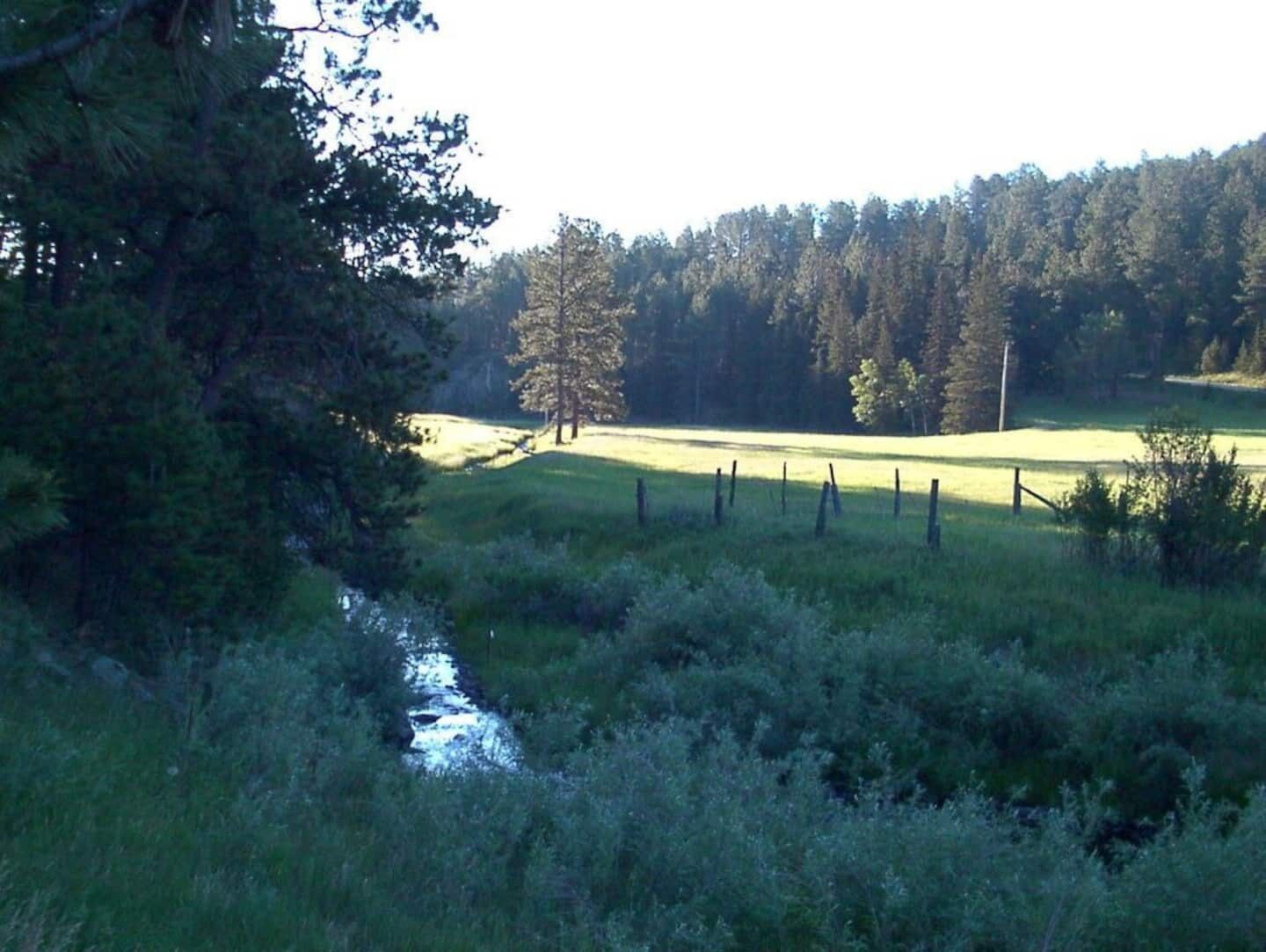 A grassy field with a fence, trees, and a small stream.