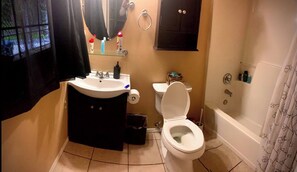 Une salle de bain avec un lavabo, des toilettes et une baignoire.