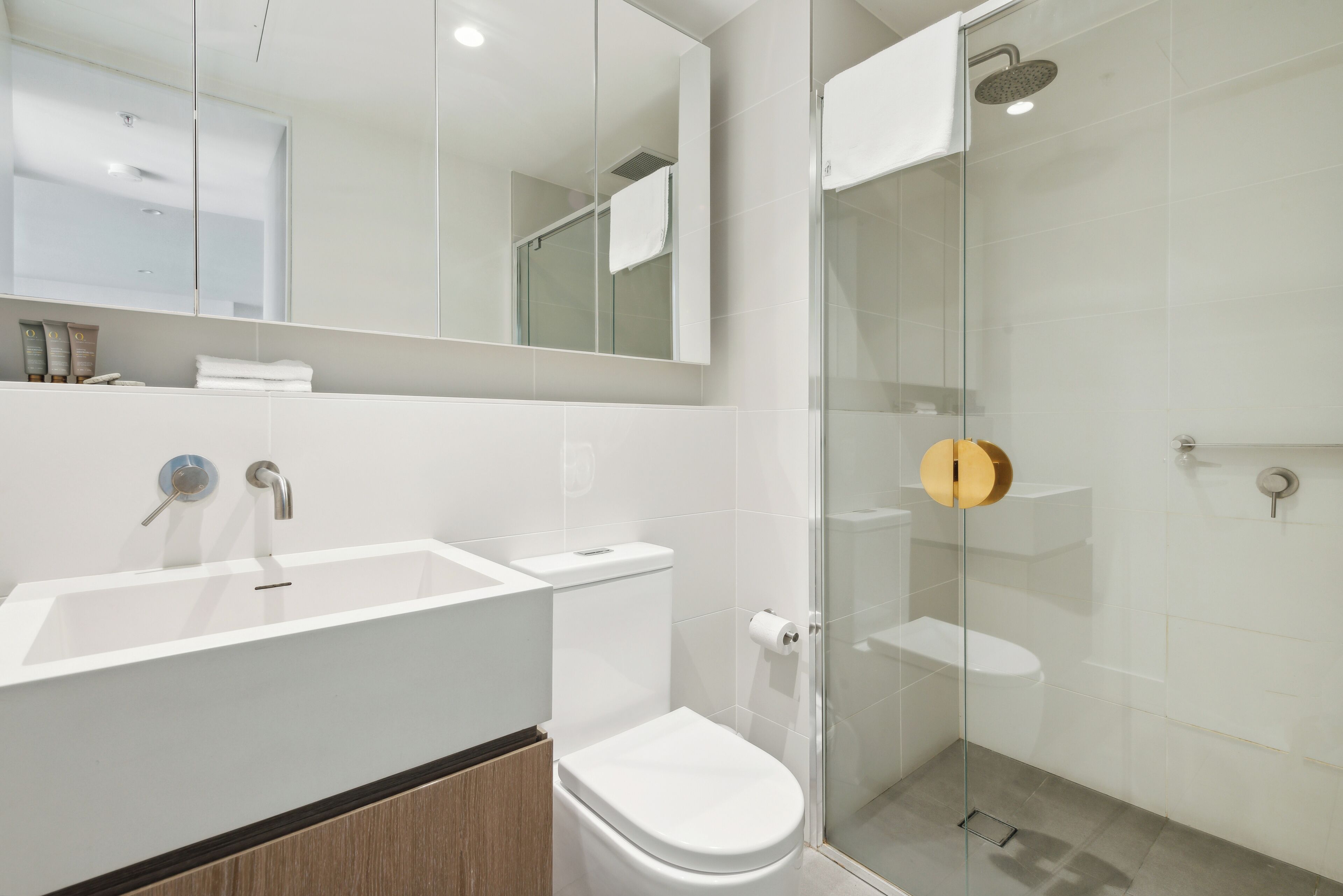 Un baño moderno con ducha de vidrio, un lavamanos blanco y un inodoro.