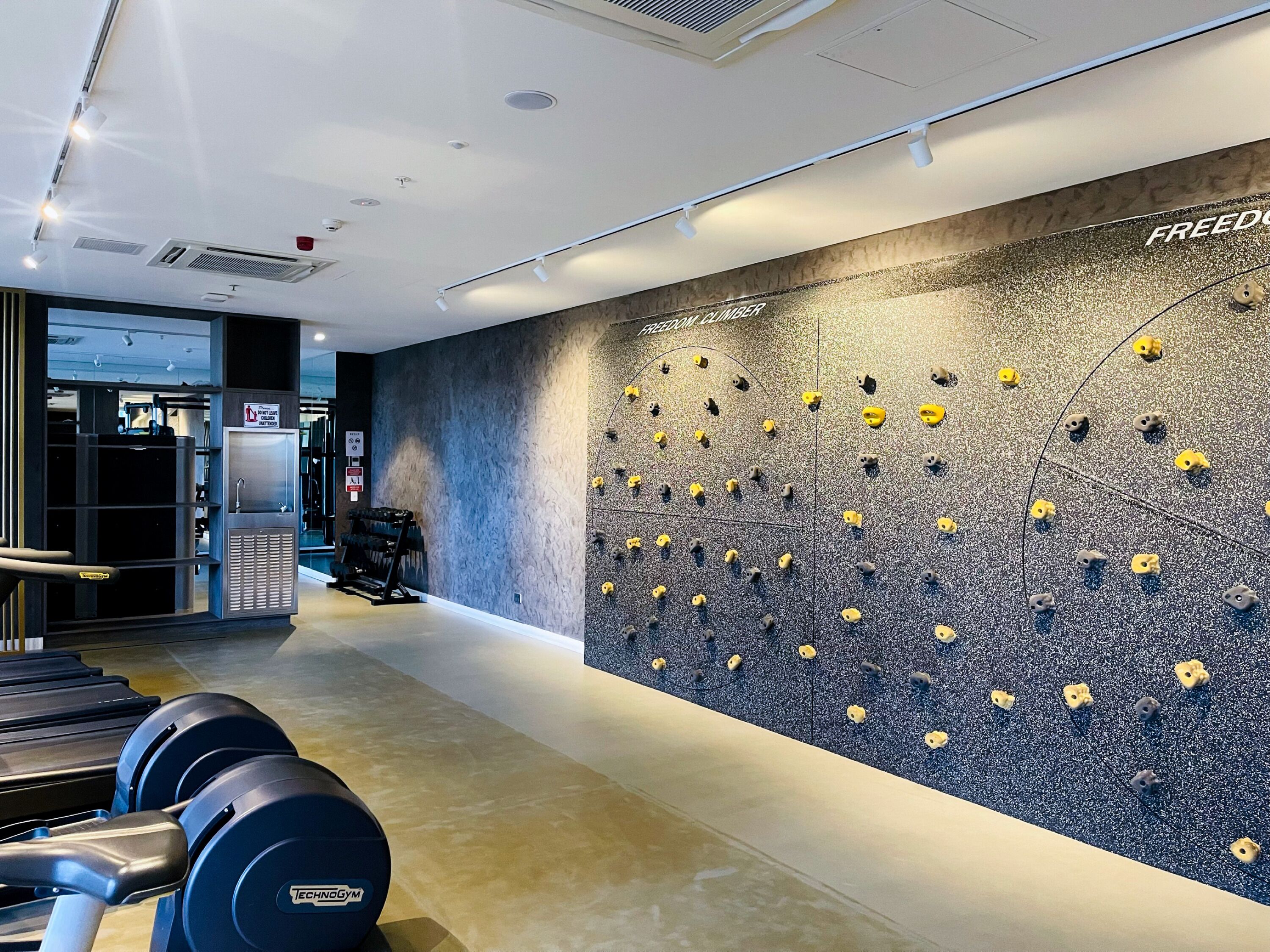 A gym with exercise equipment and a climbing wall.