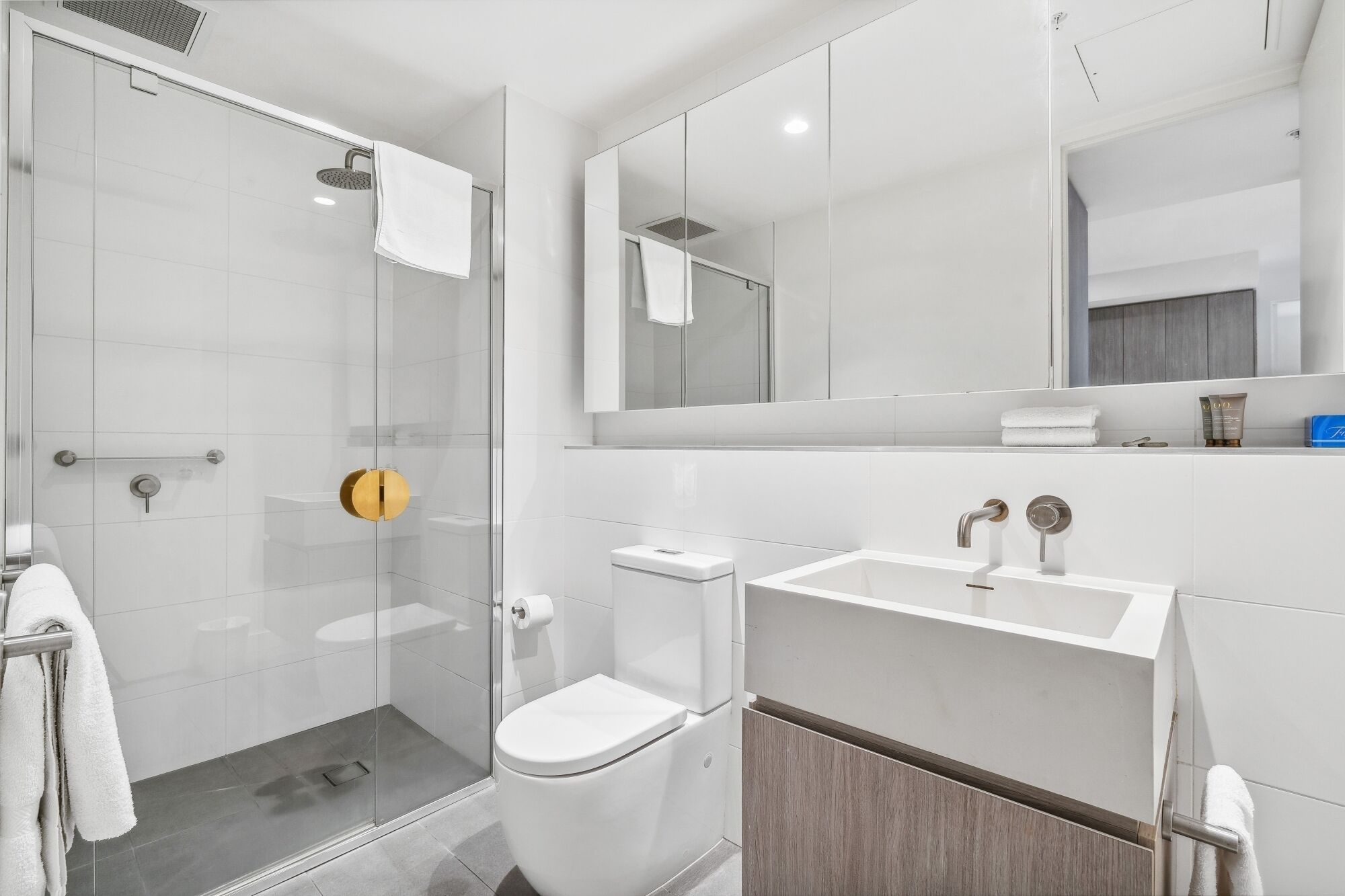 A modern bathroom with a glass-enclosed shower, a white toilet, and a vanity with a mirror.