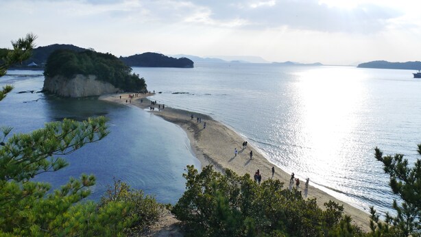 A beach with clear water, a sandy shore, and a forested island in the background. - Seatiger Island In Shodoshima (Shodoshima)