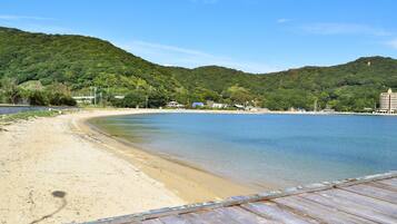 A beach with a wooden pier, clear water, and a forested hill in the background.