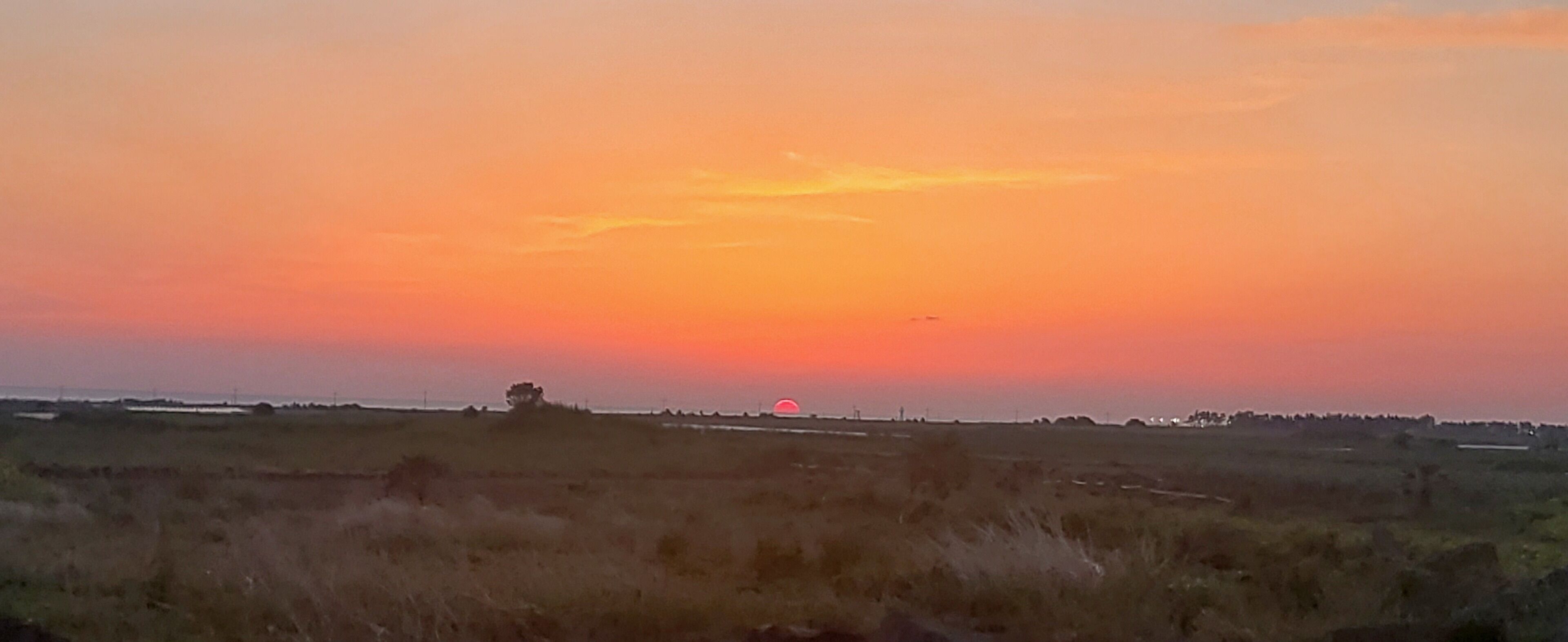 A sunset over a flat landscape with sparse vegetation and a distant horizon.