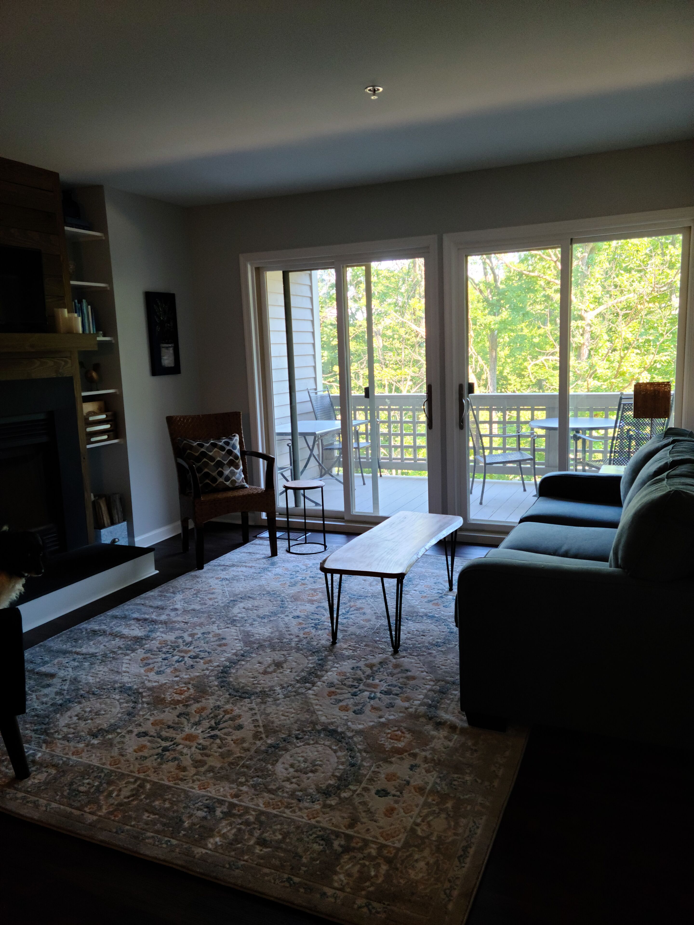 電視、壁爐、書籍