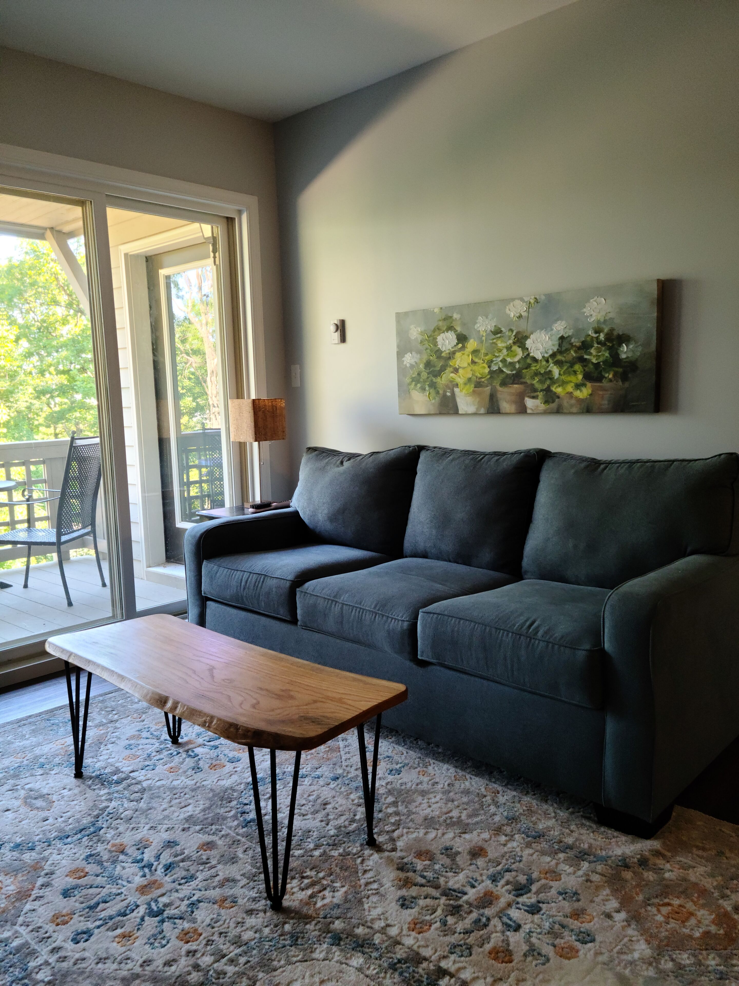 TV, fireplace, books