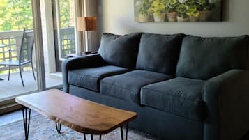 TV, fireplace, books