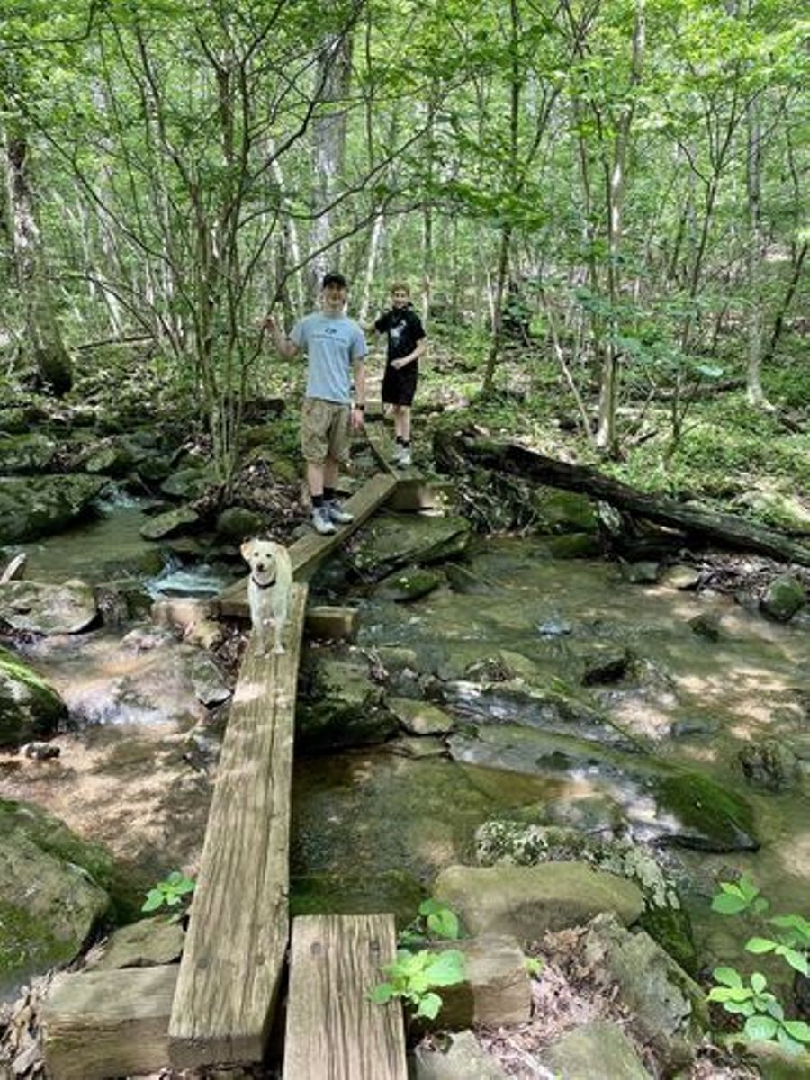Un pont en bois enjambant un ruisseau dans une zone boisée.