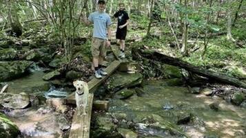 Un pont en bois enjambant un ruisseau dans une zone boisée.