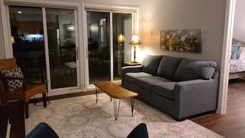 TV, fireplace, books
