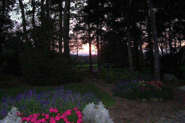 Summer view from the deck.