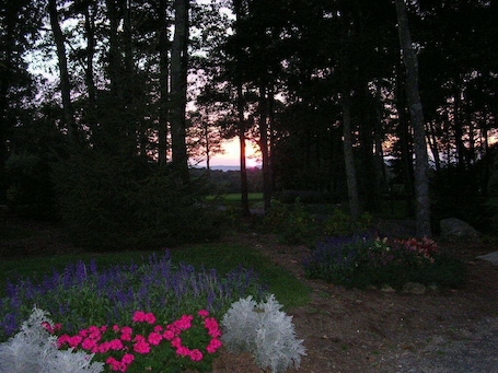 Property grounds. New construction! 1 BD/2 BA Top of Wintergreen mountain. Sleeps 4, pet-friendly