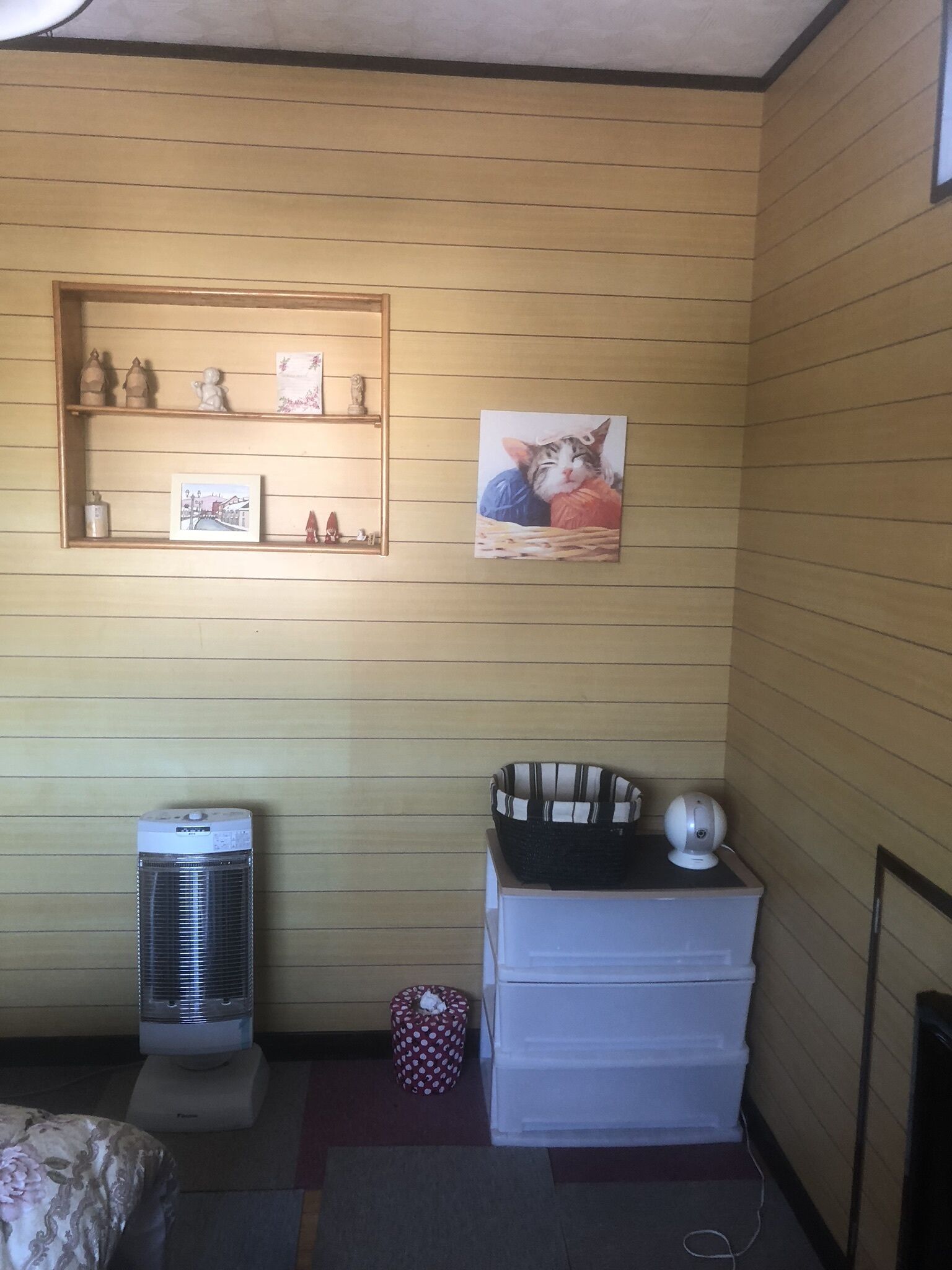 Comfort Single Room | Free WiFi