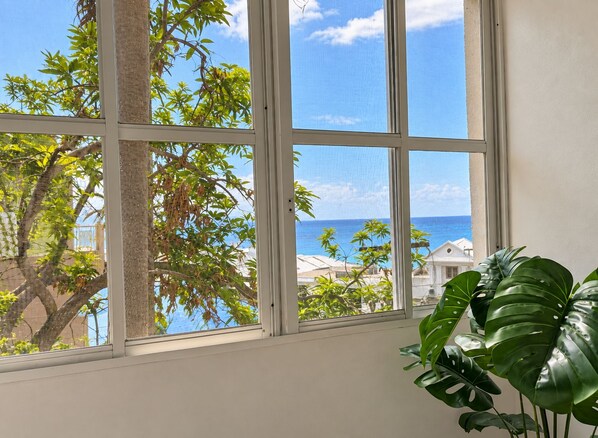 A room with a large window overlooking a view of the ocean and a tree.