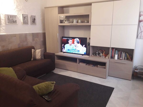 Fernseher, Bücher