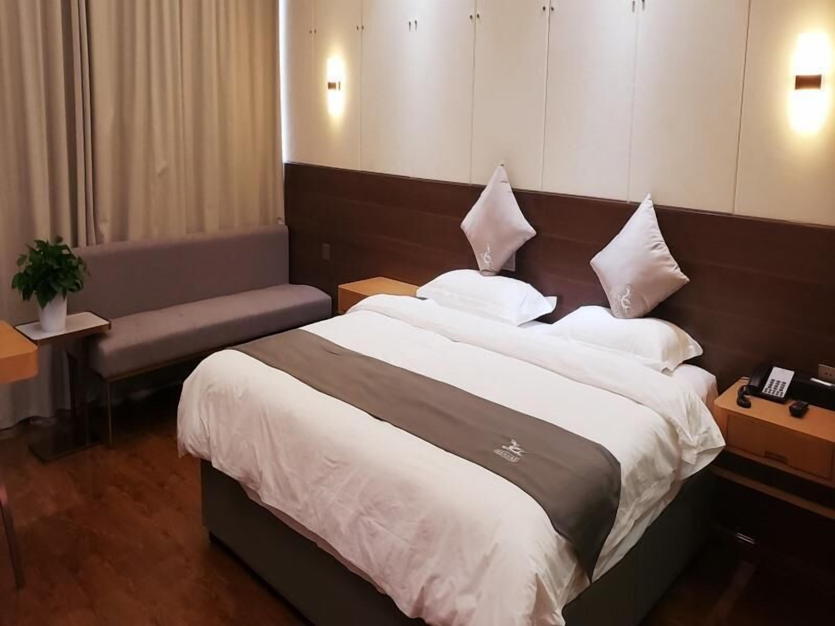 A hotel room with a bed, a bedside table, a nightstand, a lamp, a plant, a sofa, and a window with curtains.