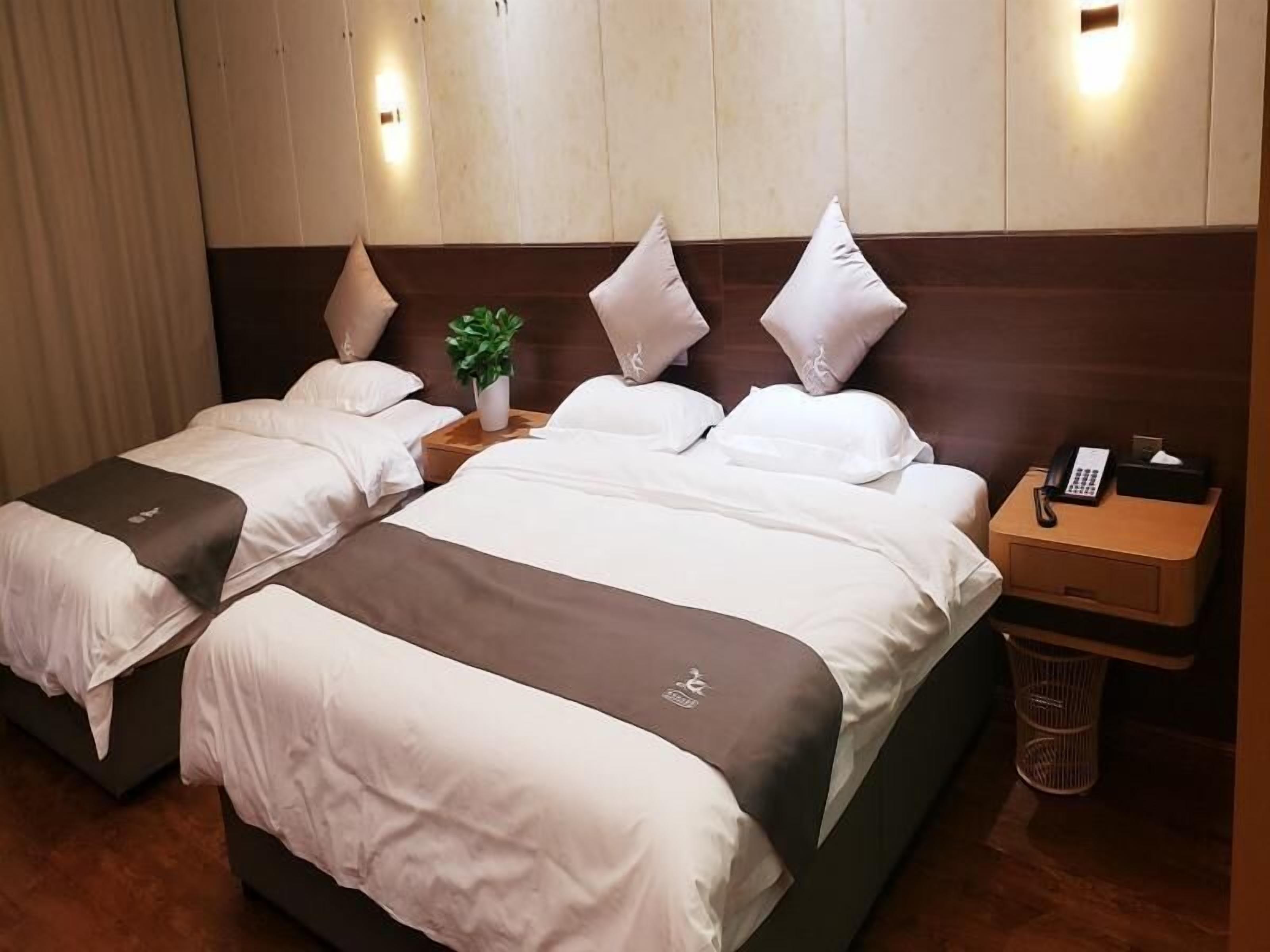 A hotel room with two beds, a nightstand with a phone and tissues, and a small plant on the headboard.