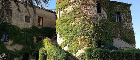 A historic building with ivy-covered walls and a turret.