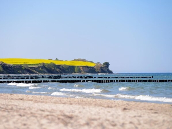 Una playa con un muelle que se adentra en el agua, un acantilado con vegetación amarilla y un cielo despejado.