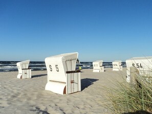 Beach chairs labeled with numbers on a sandy beach with the ocean in the background.