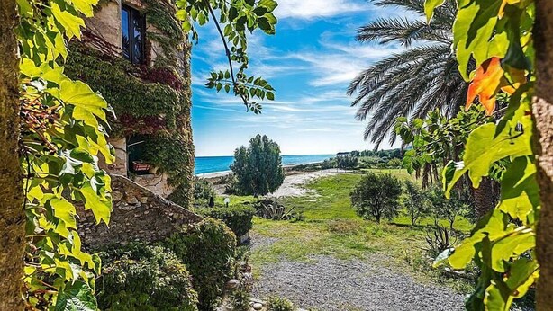 Un jardin offrant une vue sur la mer, un mur de pierre et un bâtiment recouvert de lierre.