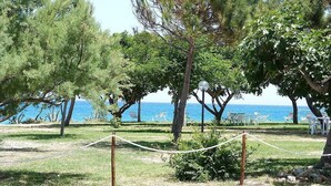 Une zone côtière bordée d’arbres, avec un sentier herbeux et des espaces de repos en plein air au bord de l’eau.