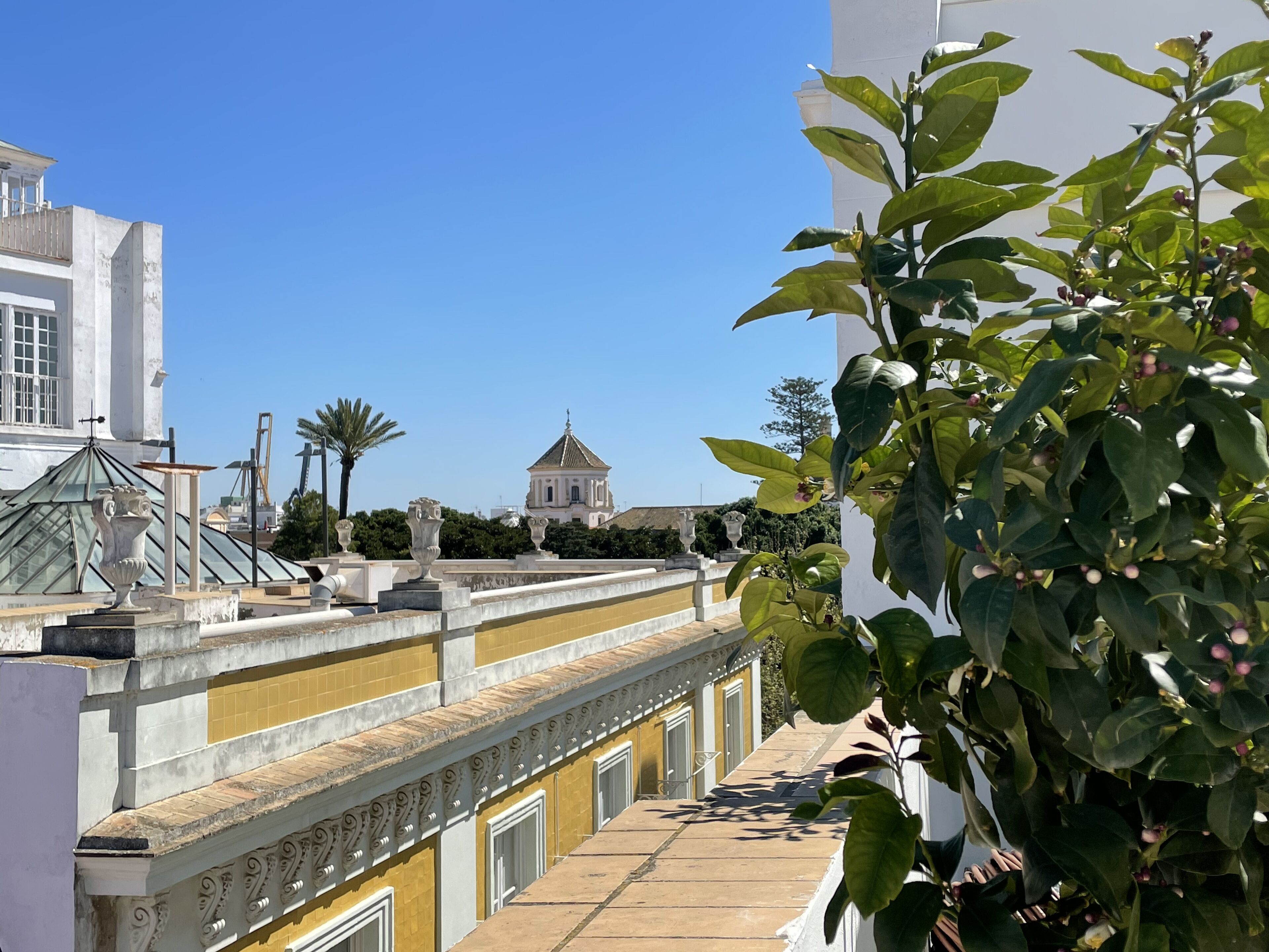 Terraza en la azotea con vistas a un edificio blanco con cúpula, rodeado de follaje y detalles arquitectónicos.