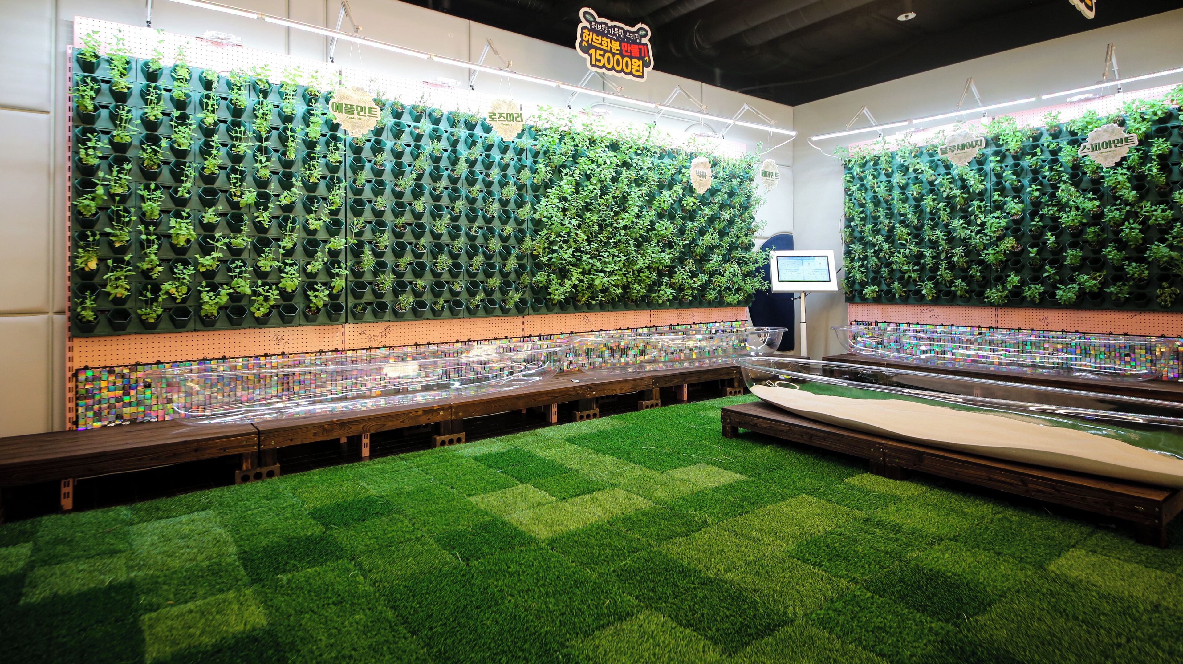 children’s activities