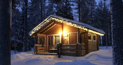 Metsä Kolo