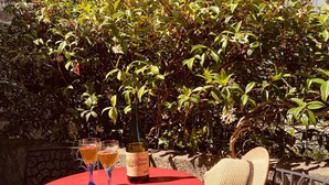 Una mesa roja al aire libre con una botella de vino y dos copas, sobre un fondo de follaje y un muro de piedra.