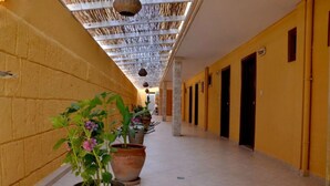A hallway with yellow walls, potted plants, and doors leading to rooms. - Varol Otel (Ayvalik)